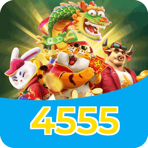 Verificação KYC 4555